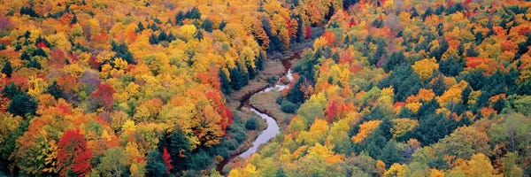Michigan: Autumn Landscape I, Porcupine Mountains Wilderness State Park, Upper Peninsula, Michigan, USA by Panoramic Images