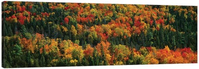 Autumn Landscape II, Porcupine Mountains Wilderness State Park, Upper Peninsula, Michigan, USA Canvas Art Print - Michigan Art