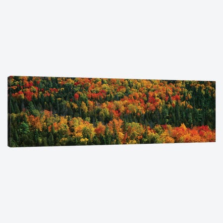 Autumn Landscape II, Porcupine Mountains Wilderness State Park, Upper Peninsula, Michigan, USA Canvas Print #PIM14105} by Panoramic Images Canvas Print