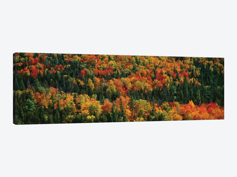 Autumn Landscape II, Porcupine Mountains Wilderness State Park, Upper Peninsula, Michigan, USA by Panoramic Images 1-piece Canvas Artwork