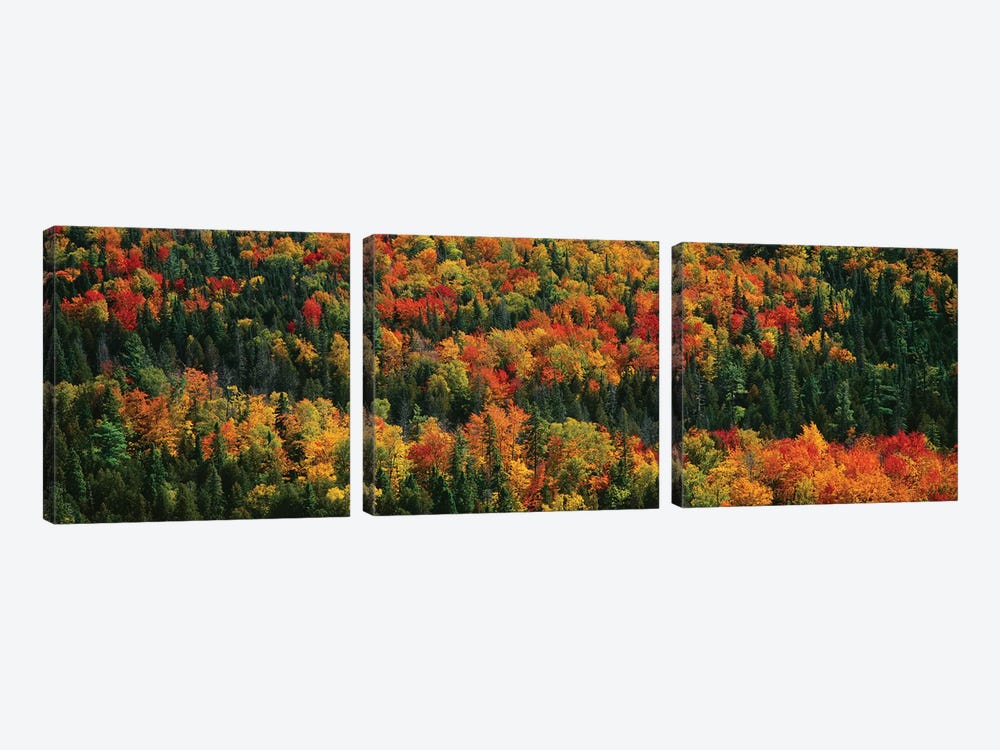 Autumn Landscape II, Porcupine Mountains Wilderness State Park, Upper Peninsula, Michigan, USA by Panoramic Images 3-piece Canvas Artwork