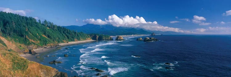 Coastal Landscape, Cannon Beach, Clatsop County, Oregon, USA