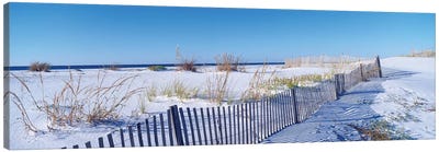 Seashore Landscape, Santa Rosa Island, Florida, USA Canvas Art Print - Coastal Sand Dune Art