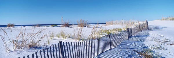 Coastal Sand Dunes: Seashore Landscape, Santa Rosa Island, Florida, USA by Panoramic Images