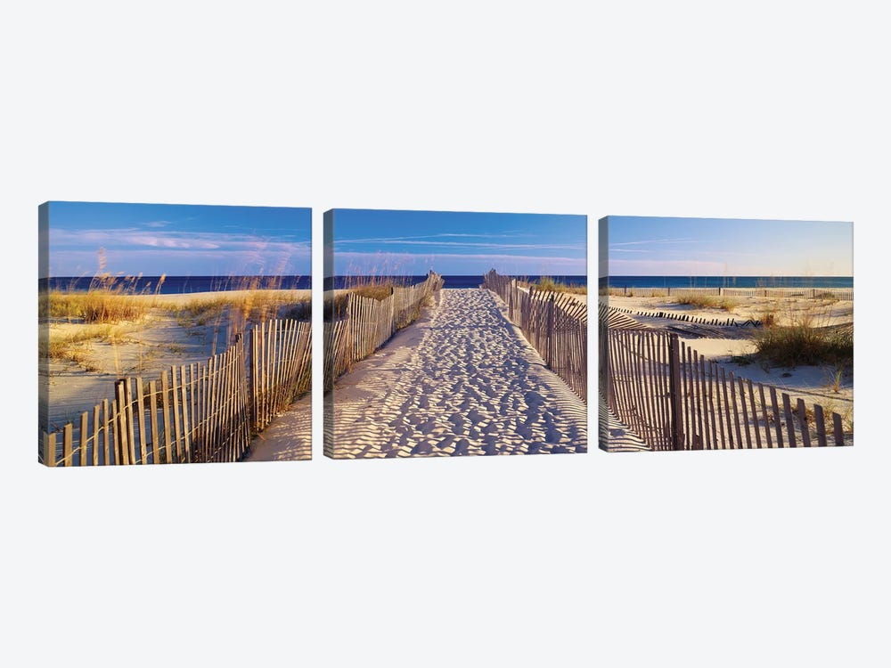 Beach Pathway, Santa Rosa Island, Florida, USA by Panoramic Images 3-piece Canvas Art Print
