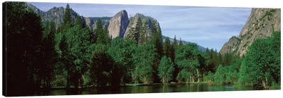 Spring Landscape, Yosemite National Park, California, USA Canvas Art Print - Yosemite National Park Art