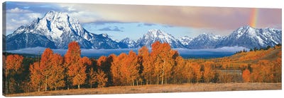 Autumn Landscape II, Teton Range, Rocky Mountains, Oxbow Bend, Wyoming, USA Canvas Art Print - Forest Art