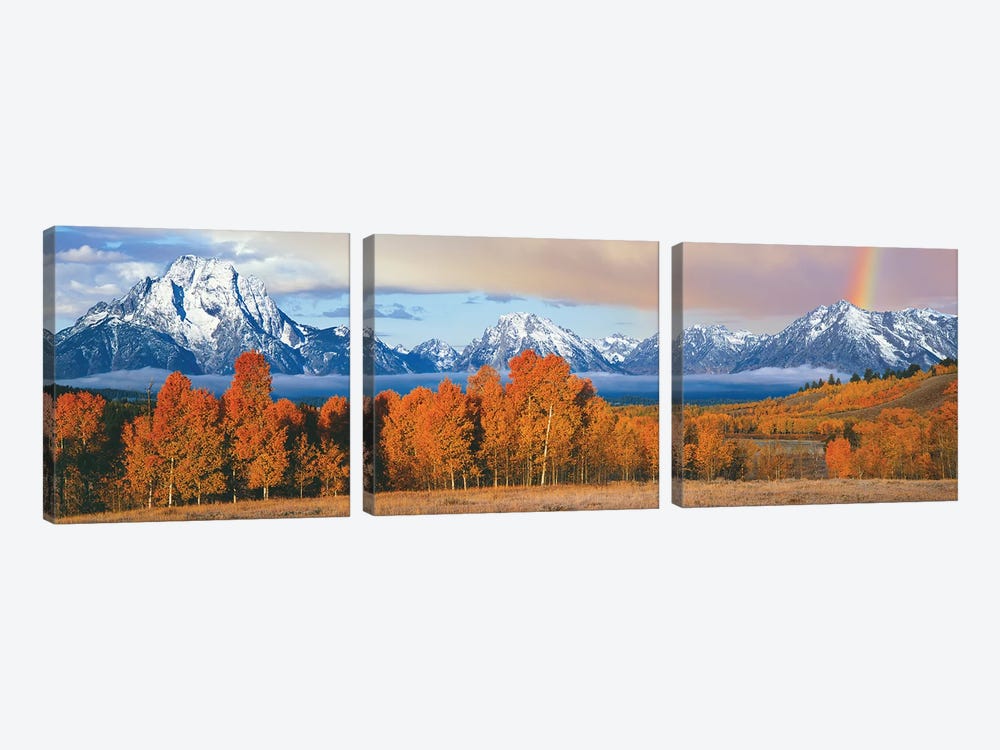 Autumn Landscape II, Teton Range, Rocky Mountains, Oxbow Bend, Wyoming, USA by Panoramic Images 3-piece Canvas Artwork