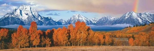Wyoming: Autumn Landscape II, Teton Range, Rocky Mountains, Oxbow Bend, Wyoming, USA by Panoramic Images