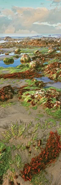 Mexico: Coastal Landscape I, Las Rocas, Baja California, Mexico by Panoramic Images