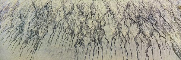 Mexico: Retreating Waves, Cerritos Beach (Playa Los Cerritos), Todos Santos, Baja California Sur, Mexico by Panoramic Images