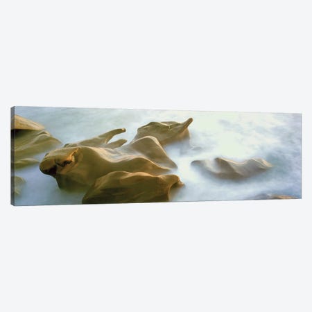 Coastal Rock Formations II, Windansea Beach, La Jolla, San Diego, San Diego County, California, USA Canvas Print #PIM14160} by Panoramic Images Canvas Artwork
