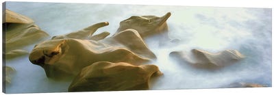 Coastal Rock Formations II, Windansea Beach, La Jolla, San Diego, San Diego County, California, USA Canvas Art Print