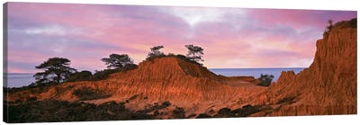Broken Hill, Torrey Pines State Natural Reserve, La Jolla, San Diego, California, USA Canvas Art Print - California Art