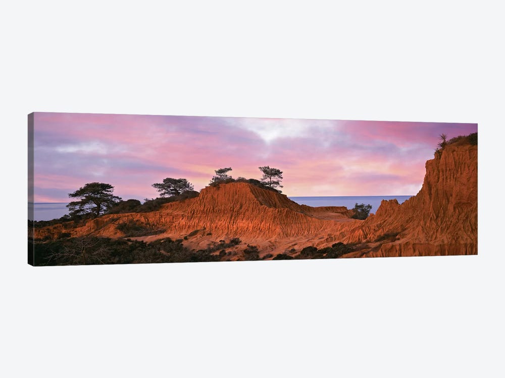 Broken Hill, Torrey Pines State Natural Reserve, La Jolla, San Diego, California, USA by Panoramic Images 1-piece Canvas Print