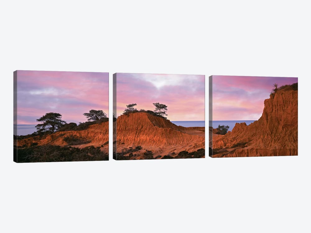 Broken Hill, Torrey Pines State Natural Reserve, La Jolla, San Diego, California, USA by Panoramic Images 3-piece Art Print