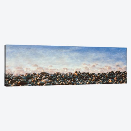 Coastal Landscape, Calumet Park Beach, La Jolla, San Diego, San Diego County, California, USA Canvas Print #PIM14167} by Panoramic Images Canvas Print