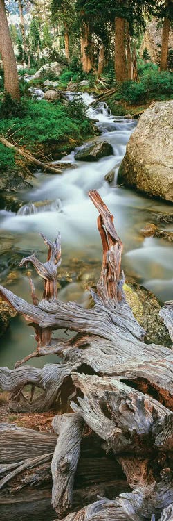 Meltwater, Glacier Gulch, Grand Teton National Park, Wyoming, USA