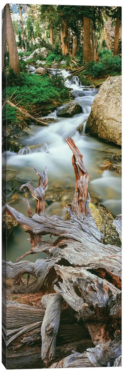 Meltwater, Glacier Gulch, Grand Teton National Park, Wyoming, USA Canvas Art Print - River, Creek & Stream Art
