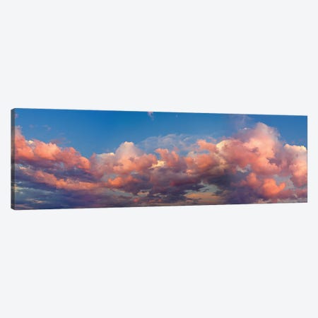 A Cloudy Day Canvas Print #PIM14179} by Panoramic Images Art Print