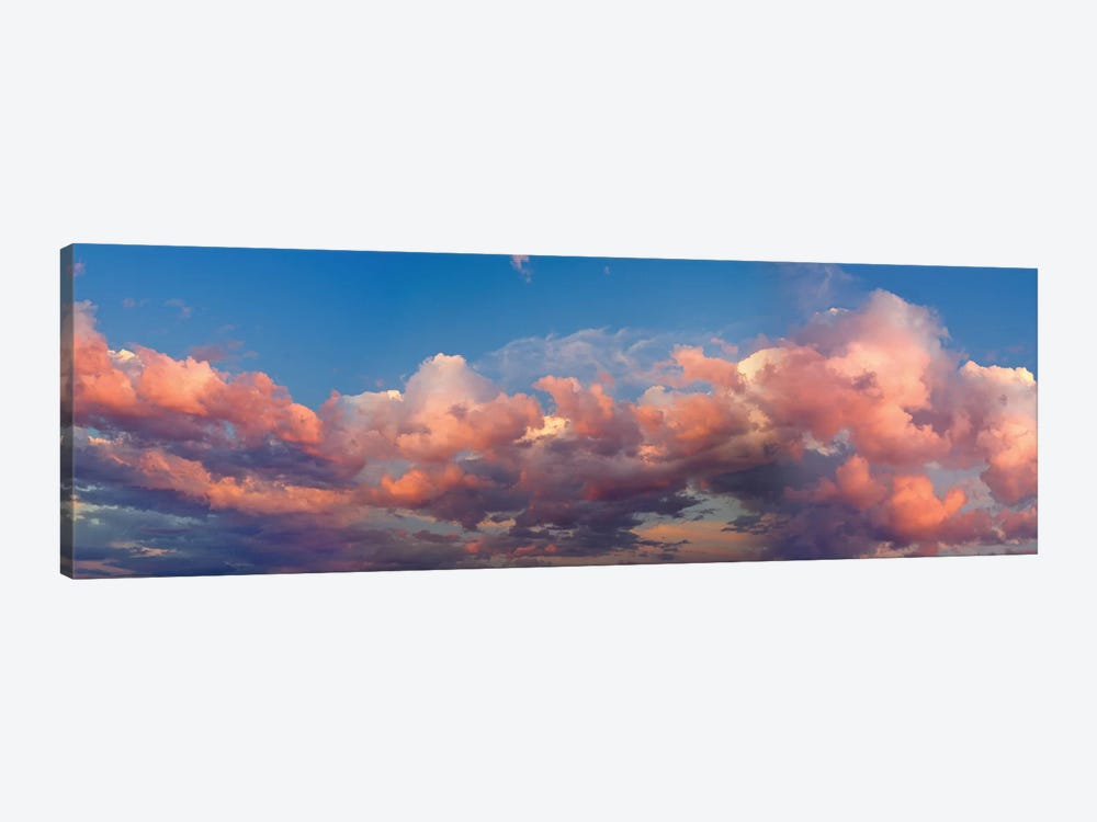 A Cloudy Day by Panoramic Images 1-piece Canvas Art Print