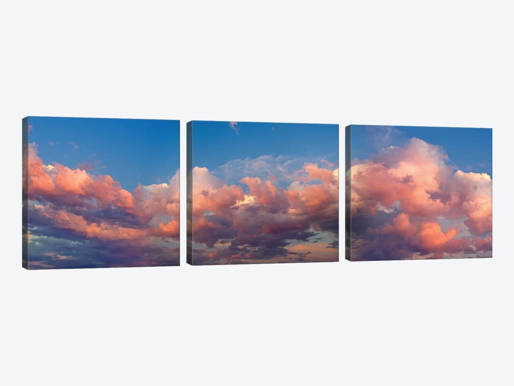 A Cloudy Day by Panoramic Images 3-piece Art Print