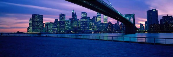 New York City Skylines: NYC, New York City New York State, USA #2 by Panoramic Images