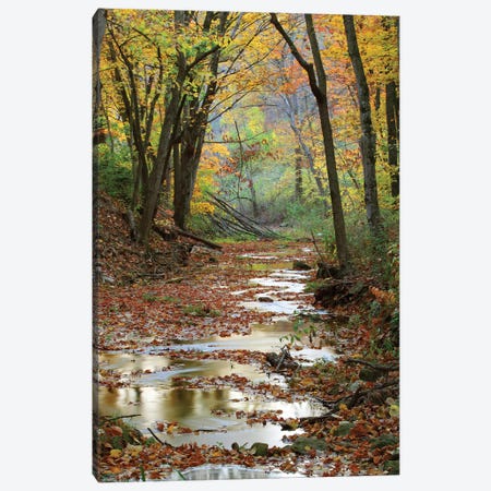 Autumn Landscape, Schuster Hollow, Grant County, Wisconsin, USA Canvas Print #PIM14194} by Panoramic Images Canvas Wall Art