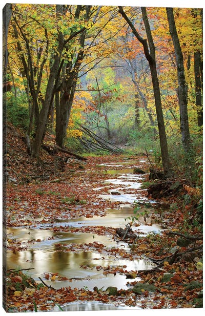 Autumn Landscape, Schuster Hollow, Grant County, Wisconsin, USA Canvas Art Print - Wisconsin Art