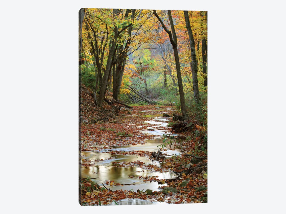 Autumn Landscape, Schuster Hollow, Grant County, Wisconsin, USA by Panoramic Images 1-piece Canvas Wall Art