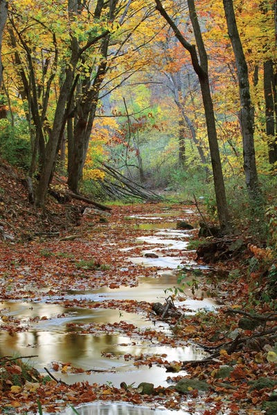 Wisconsin: Autumn Landscape, Schuster Hollow, Grant County, Wisconsin, USA by Panoramic Images
