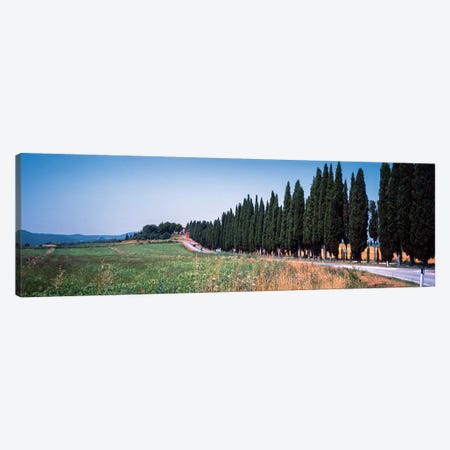 Countryside Landscape I, Torrita di Siena, Siena Province, Tuscany Region, Italy Canvas Print #PIM14197} by Panoramic Images Canvas Art