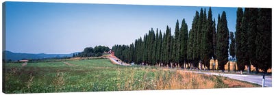 Countryside Landscape I, Torrita di Siena, Siena Province, Tuscany Region, Italy Canvas Art Print - Cypress Tree Art