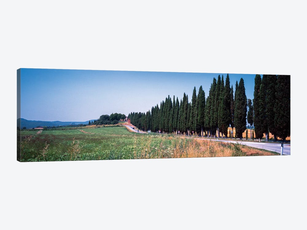 Countryside Landscape I, Torrita di Siena, Siena Province, Tuscany Region, Italy by Panoramic Images 1-piece Canvas Art Print