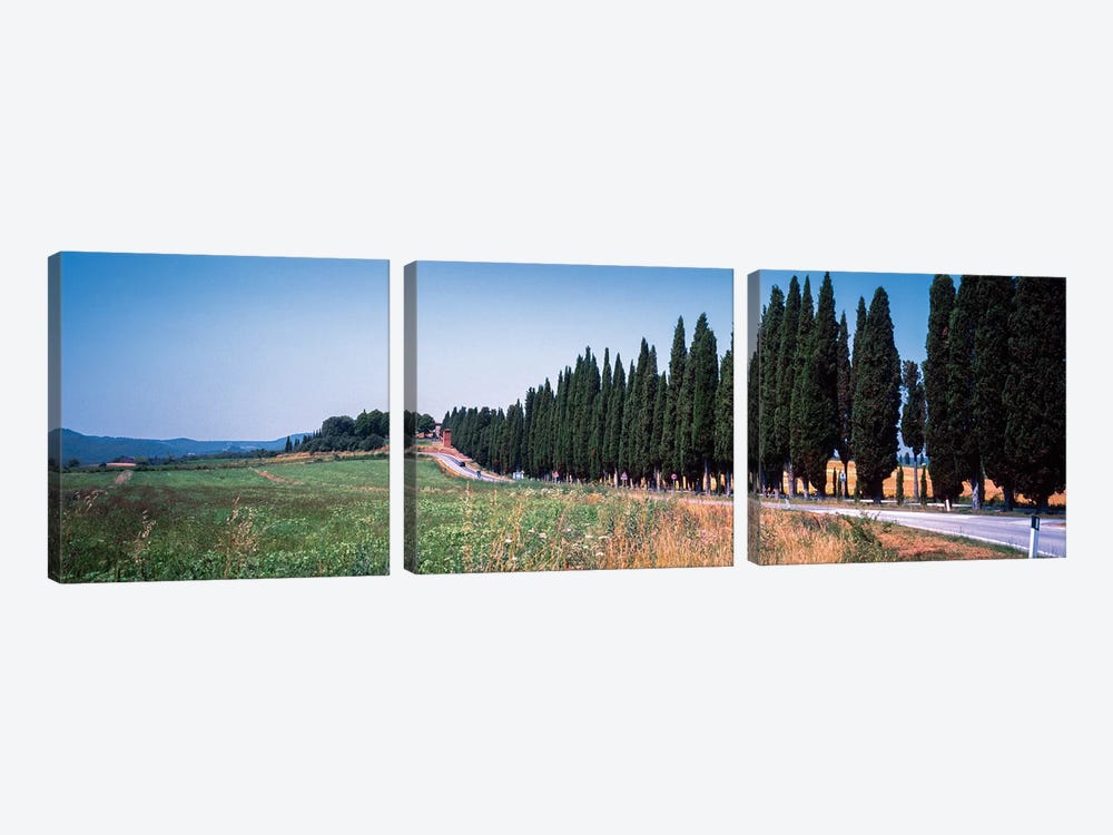Countryside Landscape I, Torrita di Siena, Siena Province, Tuscany Region, Italy by Panoramic Images 3-piece Art Print