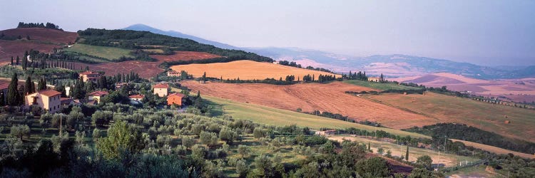 Countryside Landscape, Monticchiello Subdivision, Pienza, Siena Province, Tuscany Region, Italy by Panoramic Images wall art