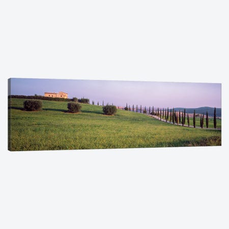 Countryside Landscape, Pienza, Siena Province, Tuscany Region, Italy Canvas Print #PIM14200} by Panoramic Images Canvas Print