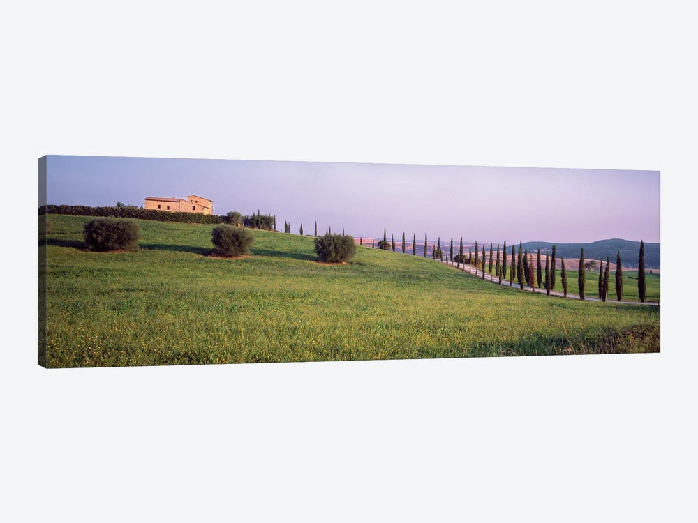 Countryside Landscape, Pienza, Siena Province, Tuscany Region, Italy by Panoramic Images 1-piece Canvas Print