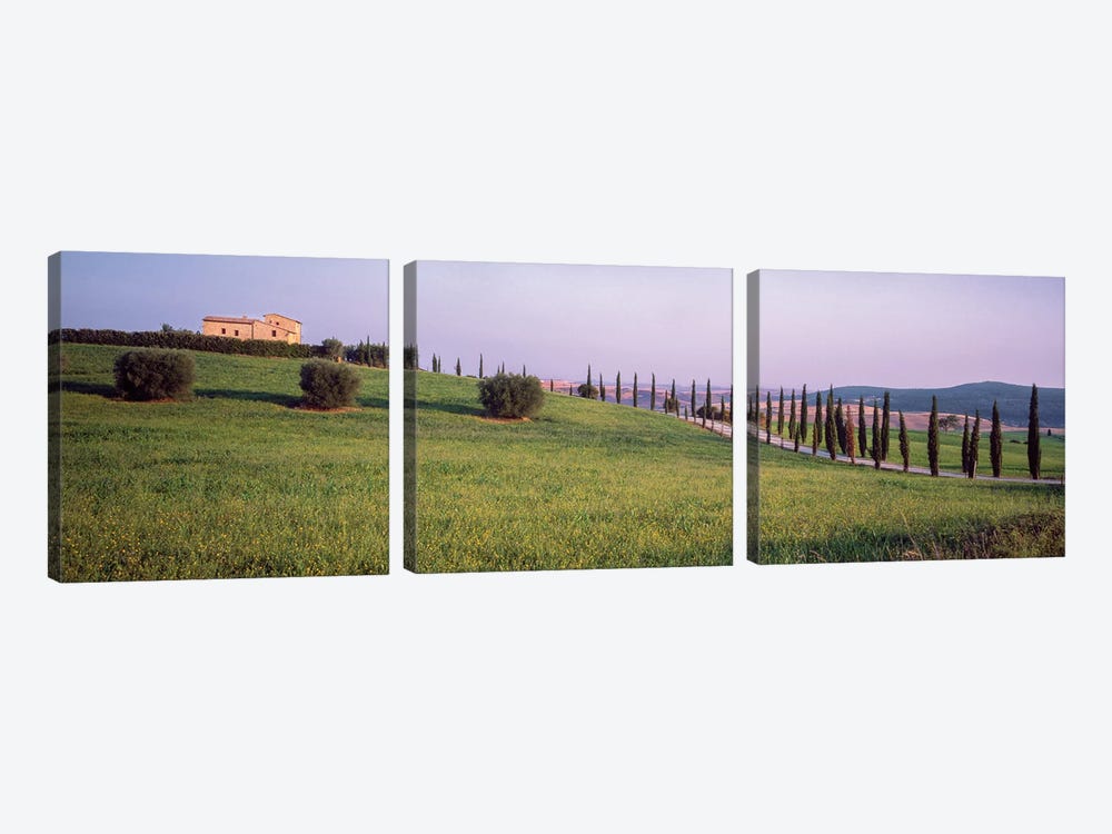 Countryside Landscape, Pienza, Siena Province, Tuscany Region, Italy by Panoramic Images 3-piece Canvas Print