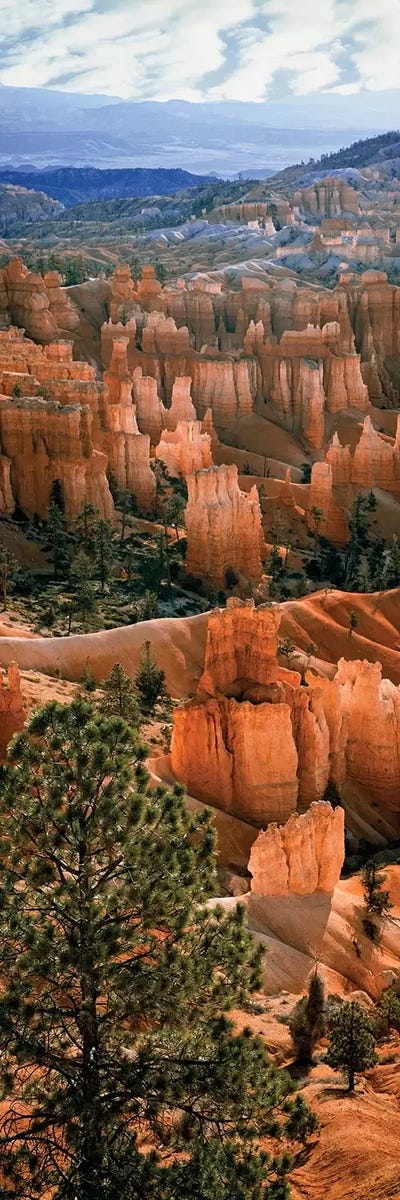 Hoodoos, Bryce Canyon Amphitheater, Bryce Canyon National Park, Utah, USA by Panoramic Images canvas print