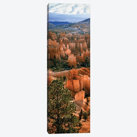 Hoodoos, Bryce Canyon Amphitheater, Bryce Canyon National Park, Utah, USA Canvas Print #PIM14202} by Panoramic Images Canvas Print