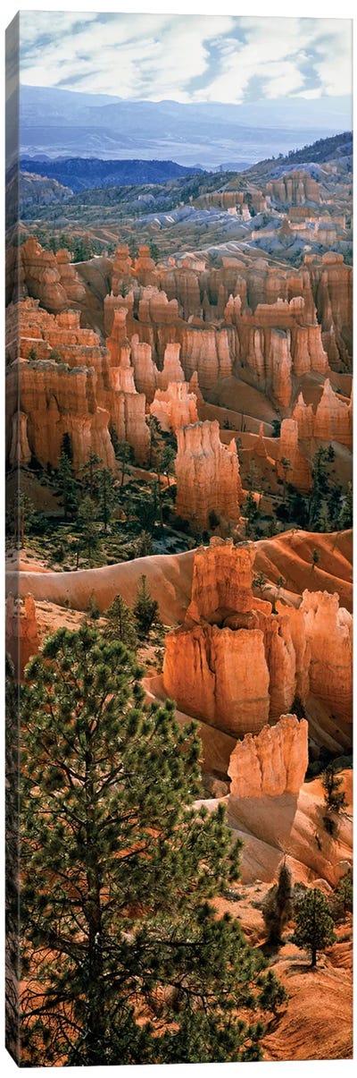 Hoodoos, Bryce Canyon Amphitheater, Bryce Canyon National Park, Utah, USA Canvas Art Print - Utah Art