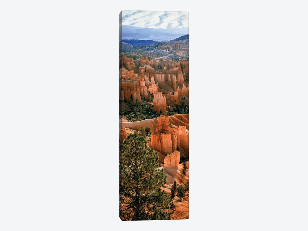 Hoodoos, Bryce Canyon Amphitheater, Bryce Canyon National Park, Utah, USA by Panoramic Images 1-piece Canvas Print