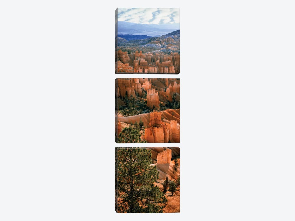 Hoodoos, Bryce Canyon Amphitheater, Bryce Canyon National Park, Utah, USA by Panoramic Images 3-piece Art Print