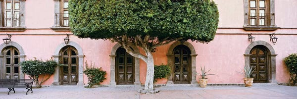 Doors: Indian Laurel Tree, Posada de las Flores Hotel, Loreto, Baja California Sur, Mexico by Panoramic Images
