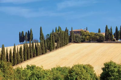 Countryside Landscape I, Tuscany Region, Italy by Panoramic Images framed canvas print