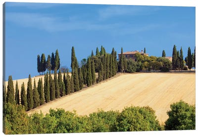 Countryside Landscape I, Tuscany Region, Italy Canvas Art Print - Farm Art