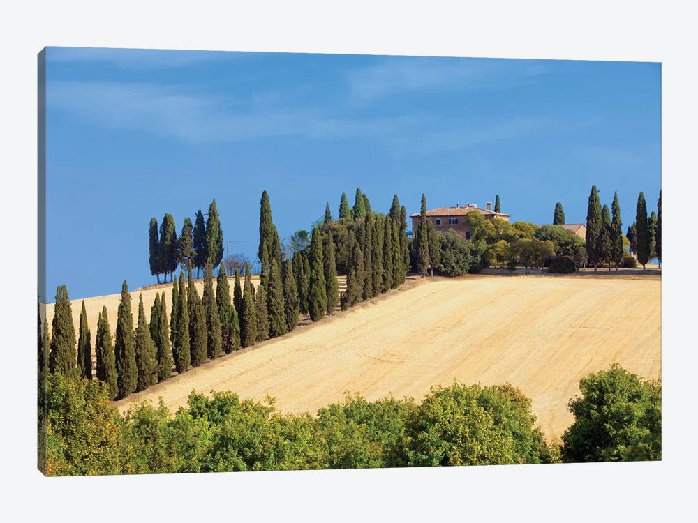 Countryside Landscape I, Tuscany Region, Italy by Panoramic Images 1-piece Canvas Art Print