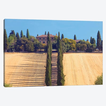 Countryside Landscape II, Tuscany Region, Italy Canvas Print #PIM14216} by Panoramic Images Art Print