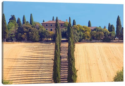 Countryside Landscape II, Tuscany Region, Italy Canvas Art Print - 3-Piece Tree Art